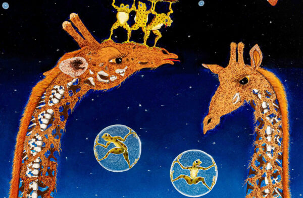Girafes et Grenouilles – Image 4